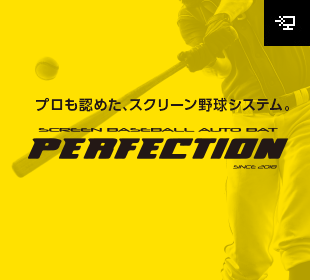 シミュレーション野球 Perfection（パーフェクション）